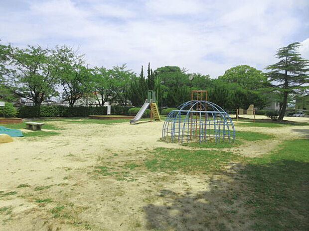 平池公園(約305m)