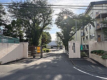 八王子市立椚田中学校 1081m