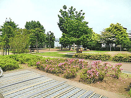 中道公園 795m