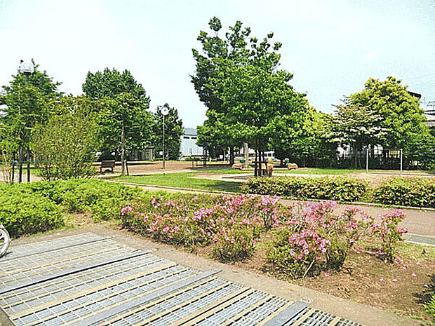 中道公園(約795m)