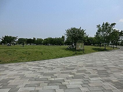 長坂谷公園 1422m