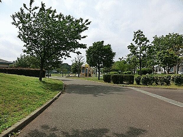 瀬谷本郷公園(約924m)