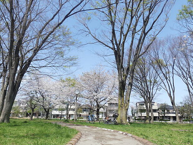 平間公園（約449m）