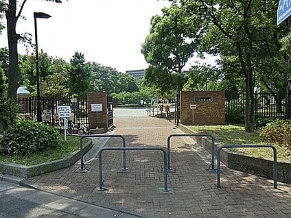 大谷田南公園 804m