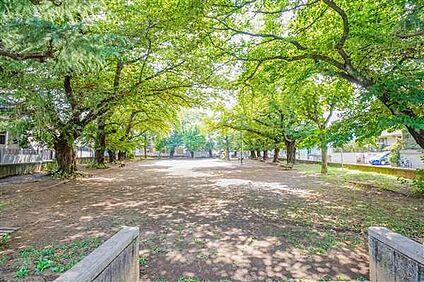 大谷場公園 812m