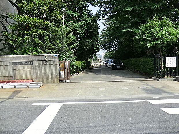 朝霞市立朝霞第六小学校(約543m)