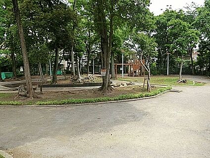 小岩の森公園 545m