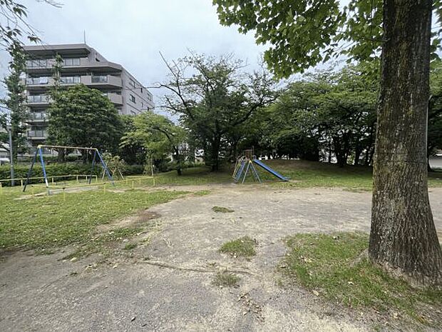 足立区立みだまえ公園(約490m)