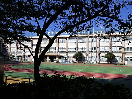 豊島区立豊成小学校 361m