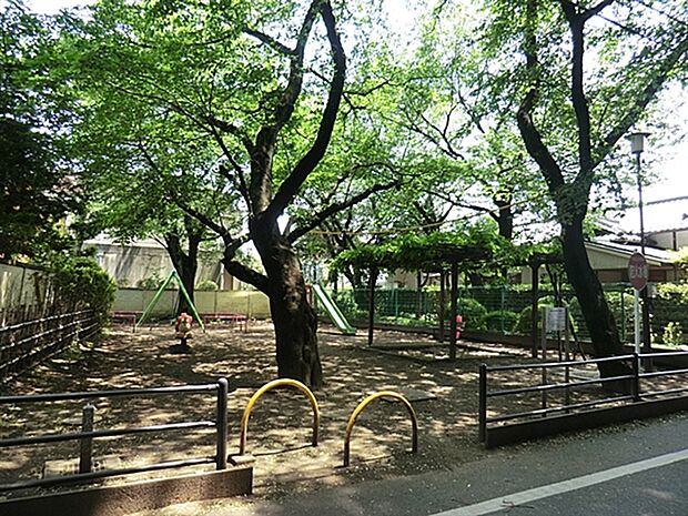中町シダレザクラ公園(約1,116m)