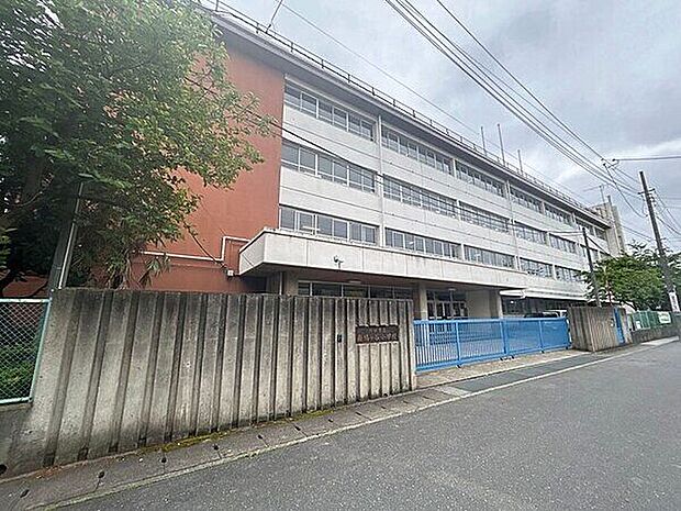川口市立南鳩ヶ谷小学校(約249m)