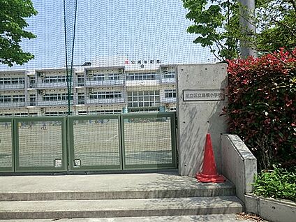 足立区立島根小学校 527m