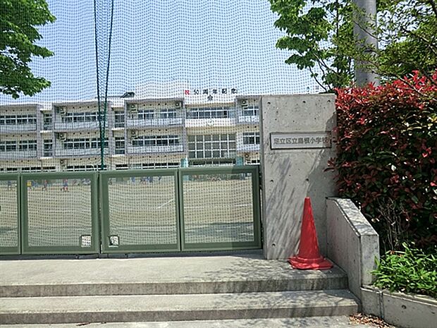 足立区立島根小学校(約527m)
