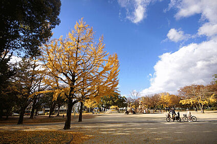 千種公園 517m