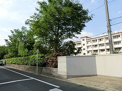 葛飾区立堀切中学校 584m