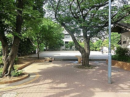桜並木公園 404m