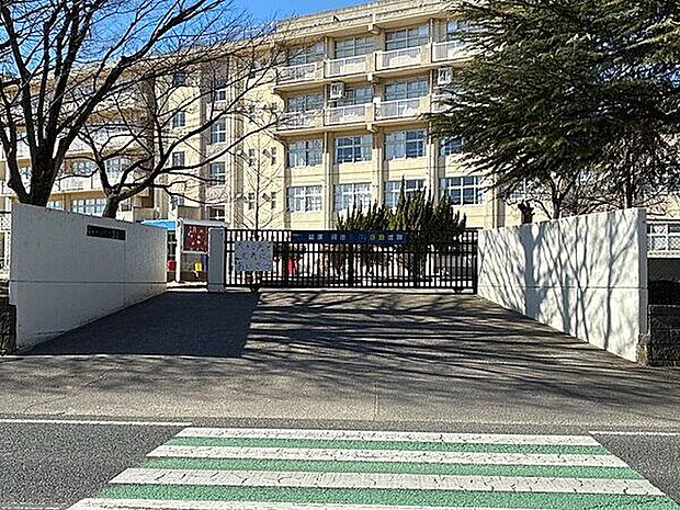 越谷市大沢小学校(約233m)