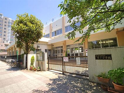 葛飾区立青戸小学校 279m