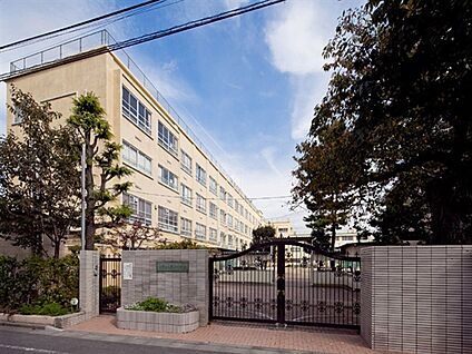 中野区立第七中学校 653m