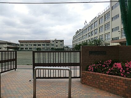 足立区立東島根中学校 406m