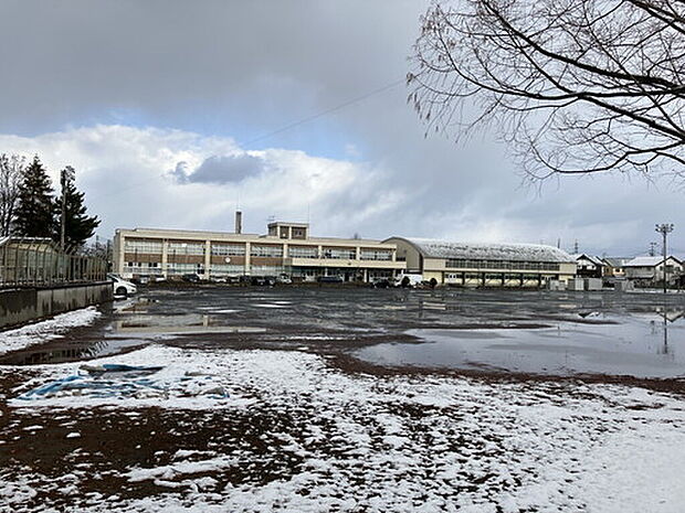 大野小学校(約750m)