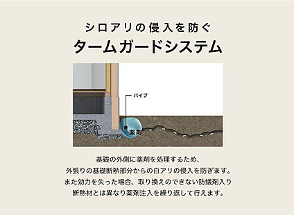 シロアリ対策