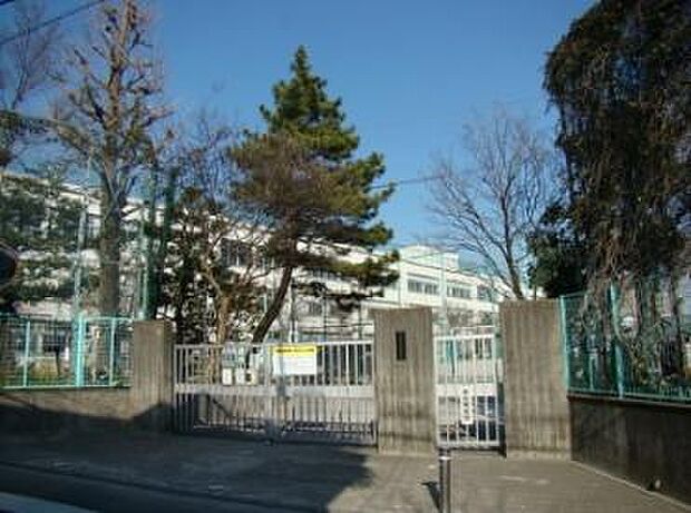 杉並区立富士見丘小学校(約521m)