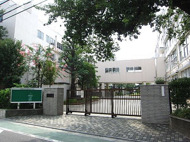 練馬区立石神井南中学校（約817m）