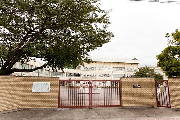 板橋区立赤塚小学校（約448m）