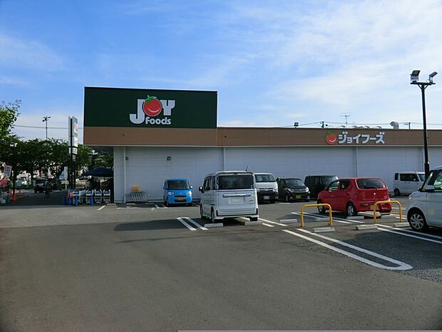 ジョイフーズ高柳店(約1,000m)