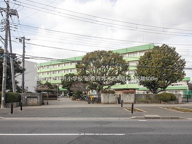 船橋市立坪井小学校（約600m）