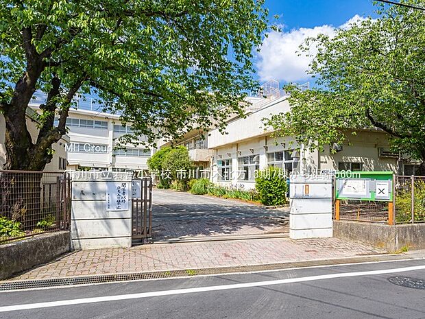 市川市立若宮小学校（約560m）