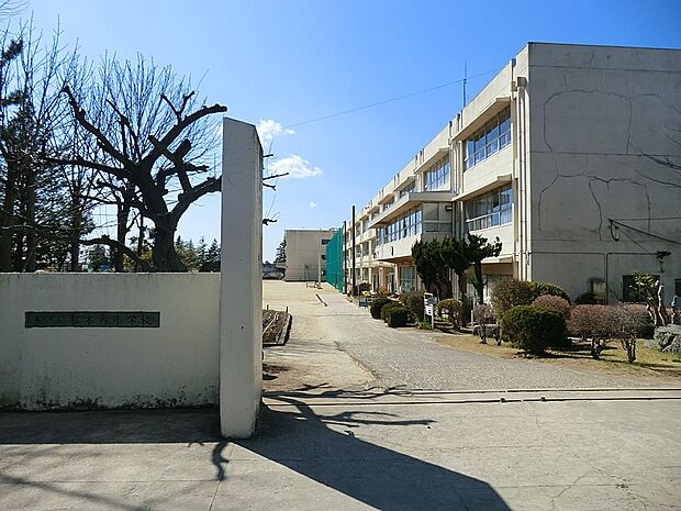 松戸市立根木内小学校（約150m）