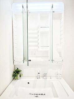 その他設備(三面鏡裏収納)