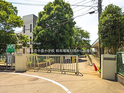 柏市立中原小学校 650m