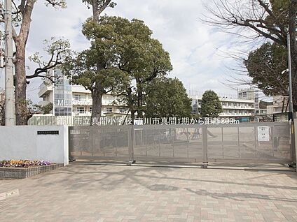市川市立真間小学校 300m