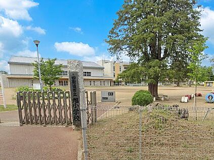 四街道市立旭小学校 800m