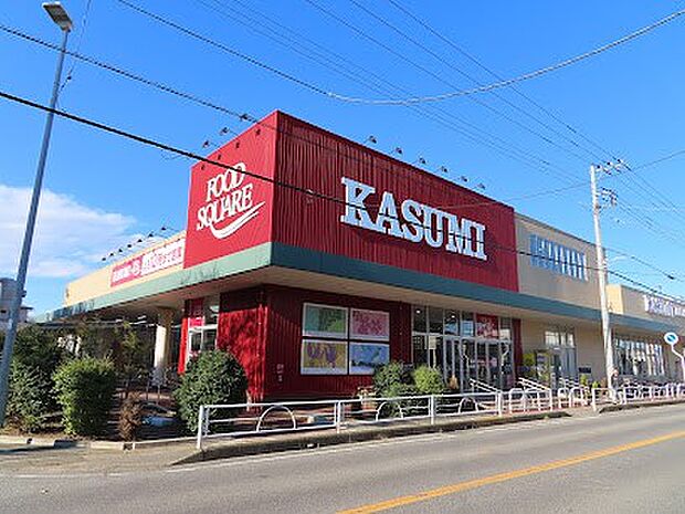カスミ フードスクエア 柏千代田店(約1,100m)