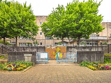 柏市立松葉第一小学校 700m
