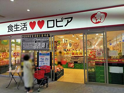 ロピア八王子みなみ野店 500ｍ(徒歩7分)