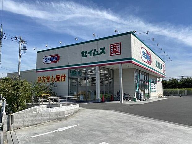 ドラッグセイムス武蔵村山三ツ藤店（約650m）