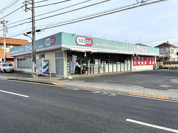 ドラッグセイムス大楽寺店（約260m）