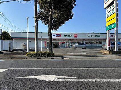 ドラッグセイムス羽村店 1300ｍ(徒歩17分)