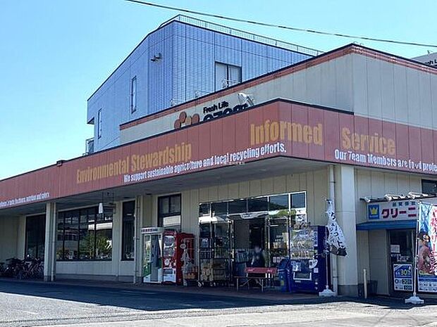 スーパーオザム友田店(約600m)
