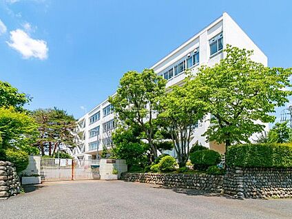 昭島市立拝島中学校 350ｍ(徒歩5分)