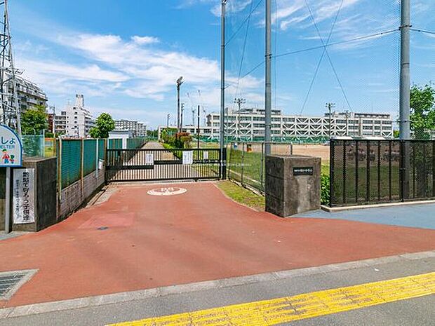 昭島市立昭和中学校(約700m)