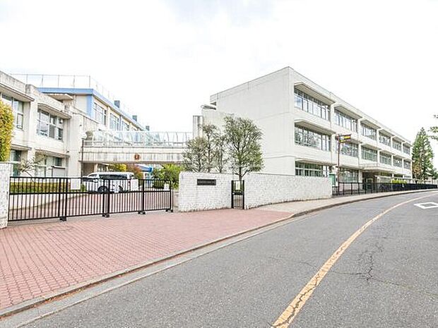 羽村市立羽村第一中学校（約800m）