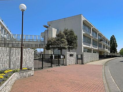 羽村市立羽村第一中学校 1000ｍ(徒歩13分)
