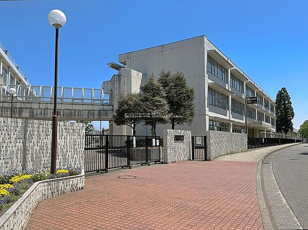 羽村市立羽村第一中学校(約1,000m)