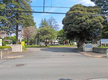 独立行政法人国立病院機構村山医療センター 850m(徒歩11分/自転車3分)
